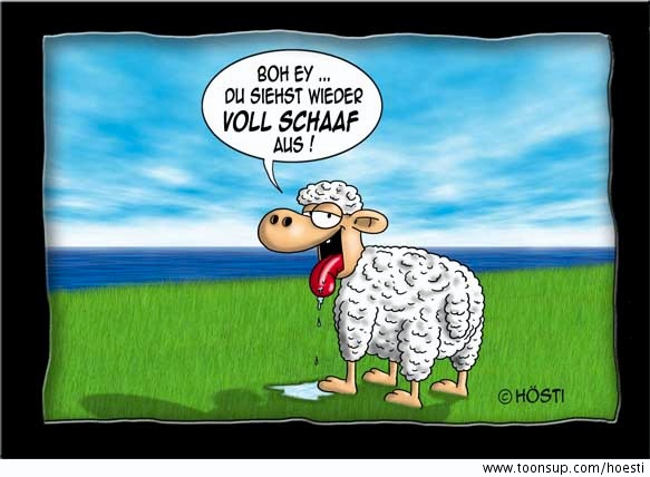 Cartoon: Voll Schaaf 1