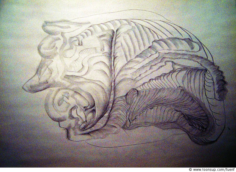 Illustration: Gedöns - 4 Bilder 1