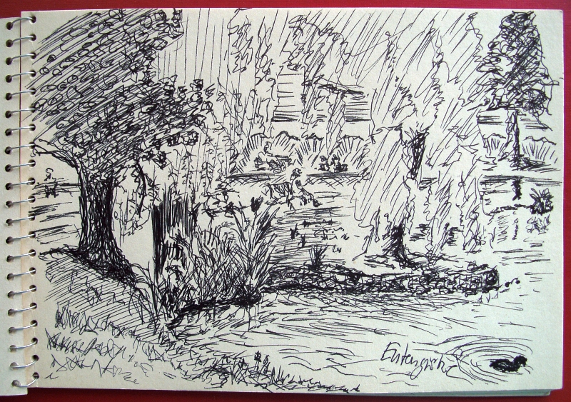 Illustration: Entengrütze 1