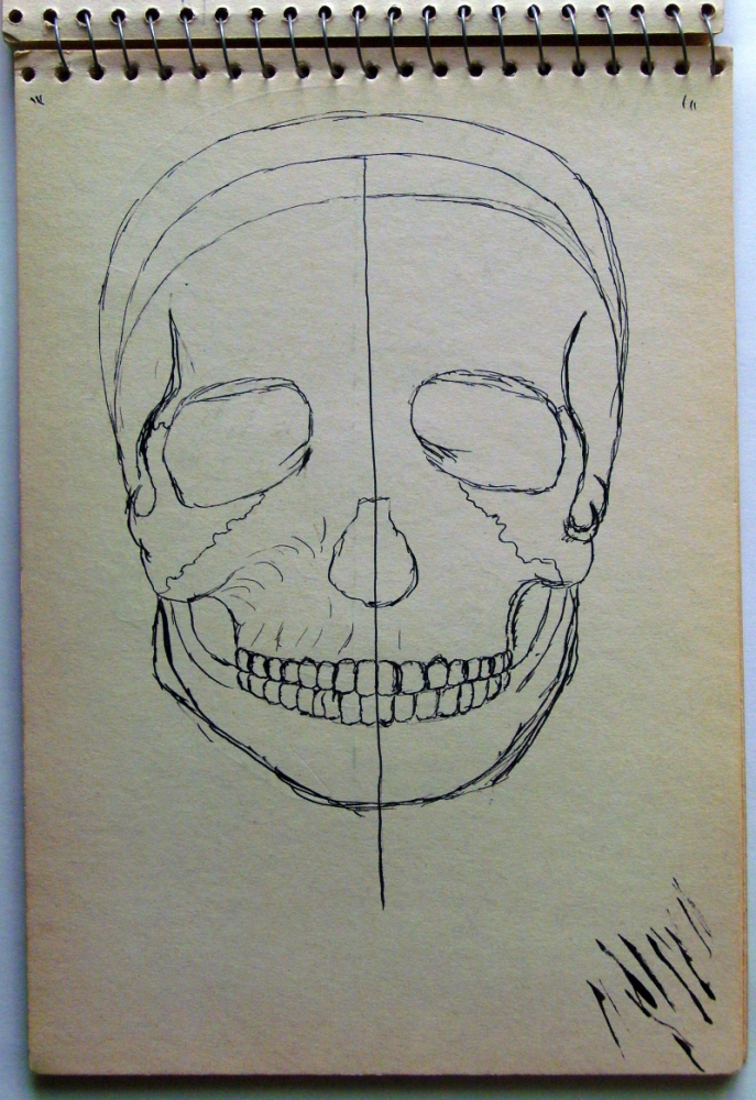 Illustration: Schädel 1