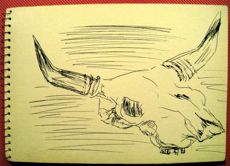 Illustration: SketchCrawl 11/2014 5