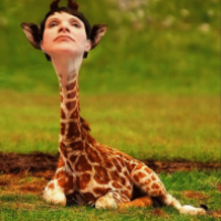 Giraffenhals