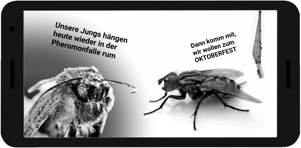 Cartoon: MottenTanz 4 1