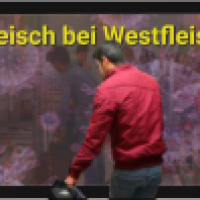Corona Fleisch