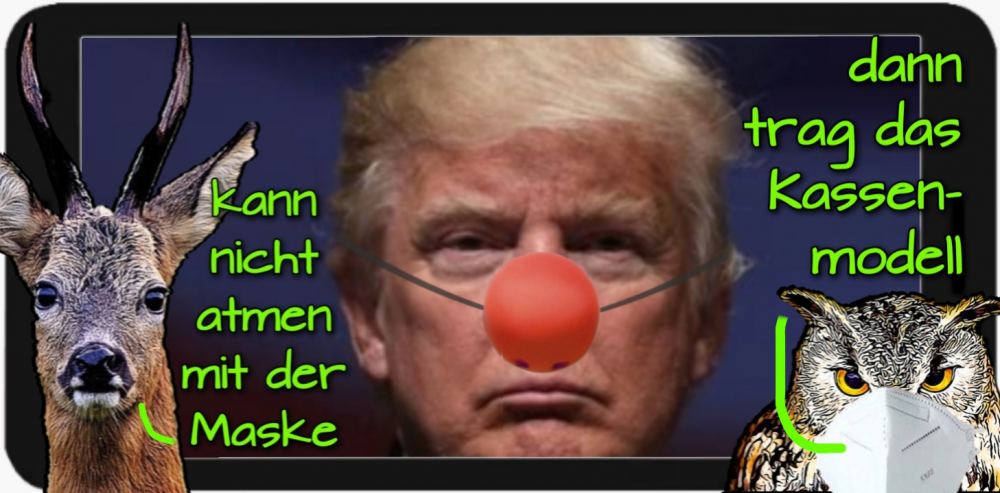 Cartoon: Maskenpflicht 1