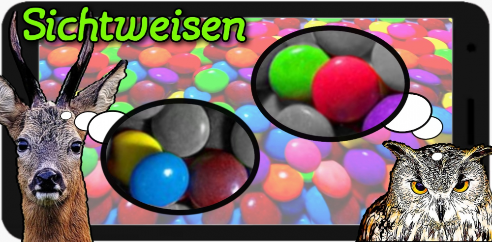 Cartoon: Sichtweisen 1