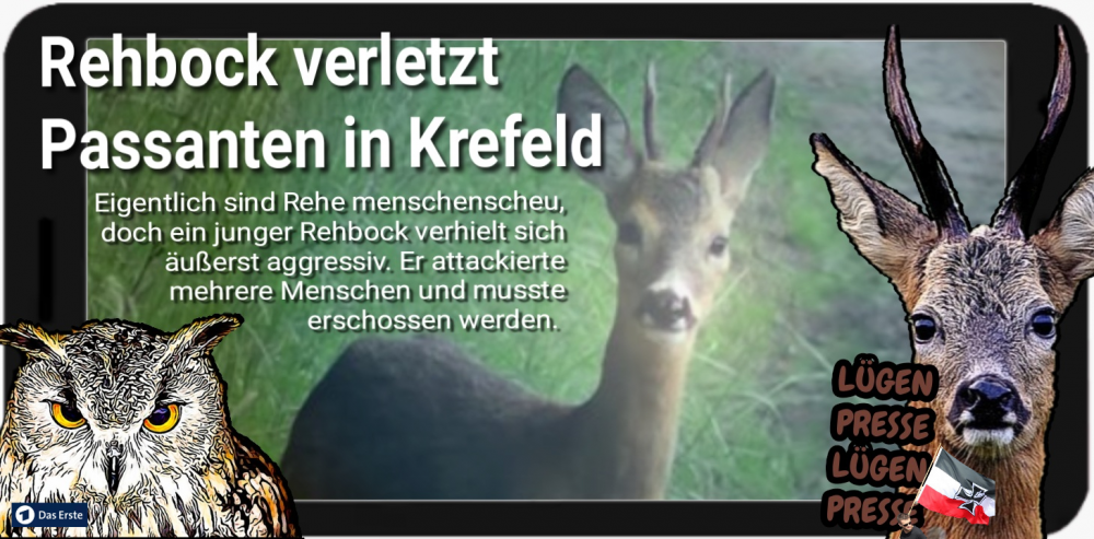 Cartoon: Spieß+Burger zum Bambi 1
