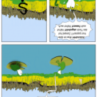 Ansichtssache