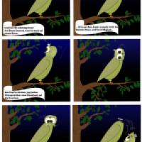Vogelkunde