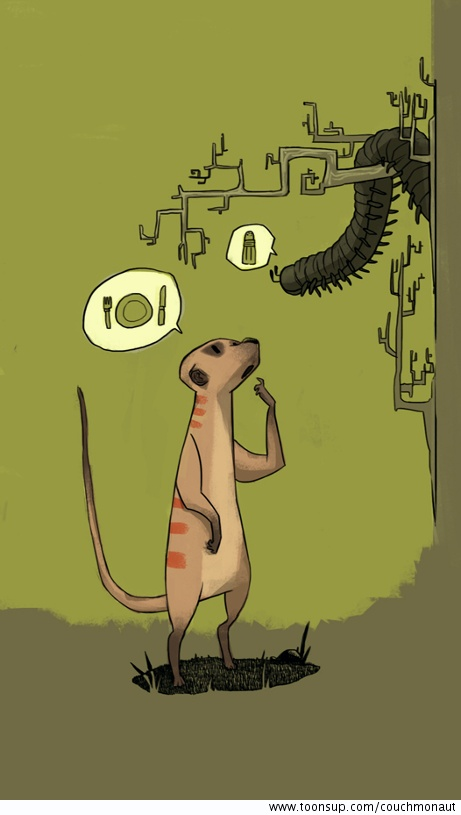 Illustration: Erdmännchen 1