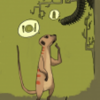 Erdmännchen