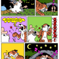 The Happy Hermit: Dealing with Predators