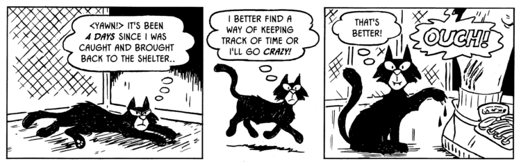 Comic: Another Cat Comic: In the Cat Shelter 1