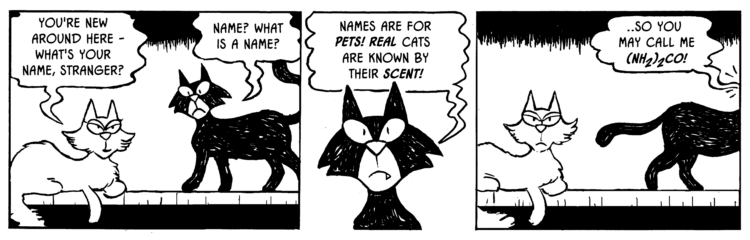 Comic: Another Cat Comic: The Scent of a Cat! 1
