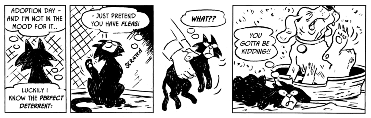 Comic: Another Cat Comic: Getting the Itch! 1