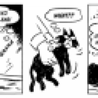 Another Cat Comic: Getting the Itch!