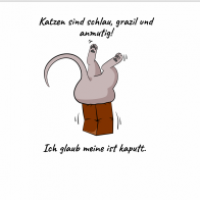 Katzen sind anmutig!