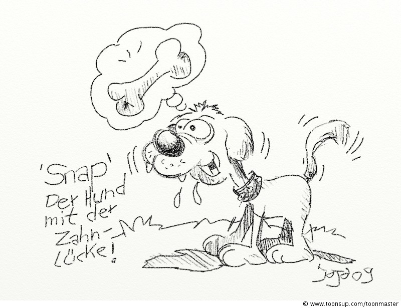 Illustration: SNAP 1