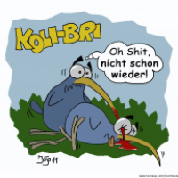 Warum Kolibris kurz vorm Aussterben stehen