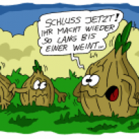Zwiebeln