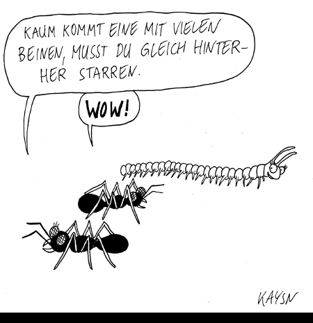 Cartoon: Ameisen & Tausendfüßler 1