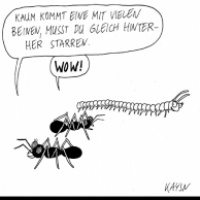 Ameisen & Tausendfüßler