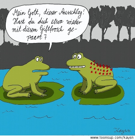 Cartoon: Frosch-Paar 1