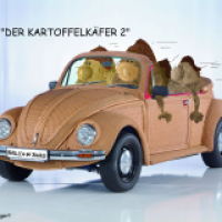 'Der Kartoffelkäfer'
