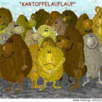 'Kartoffelauflauf'