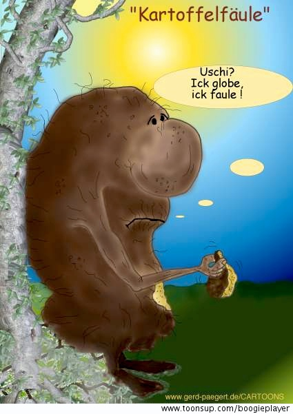 Cartoon: 'Kartoffelfäule' 1
