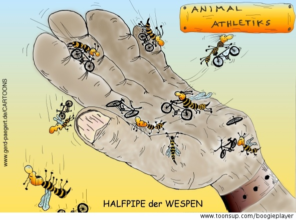 Cartoon: HALFPIPE der WESPEN 1