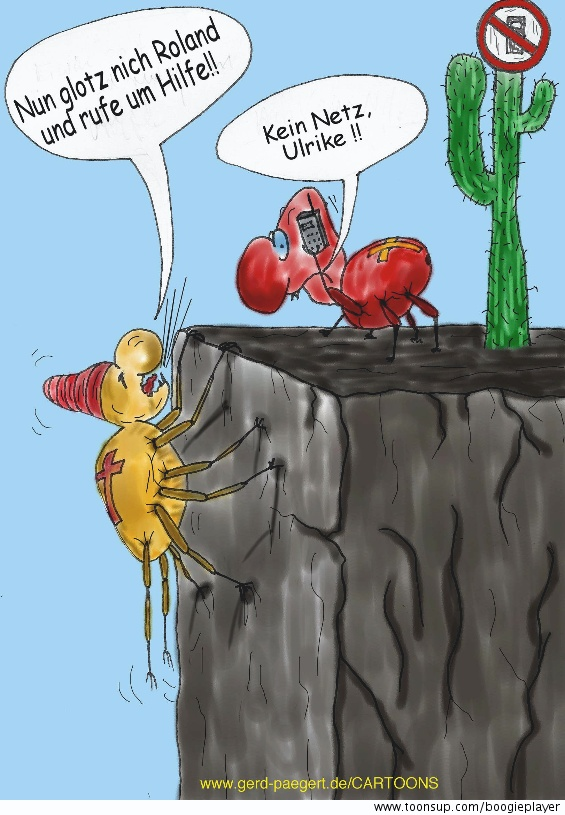 Cartoon: Kein Netz 1