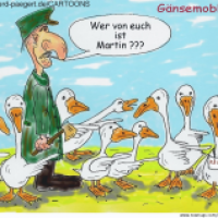 Gänse-Mobbing