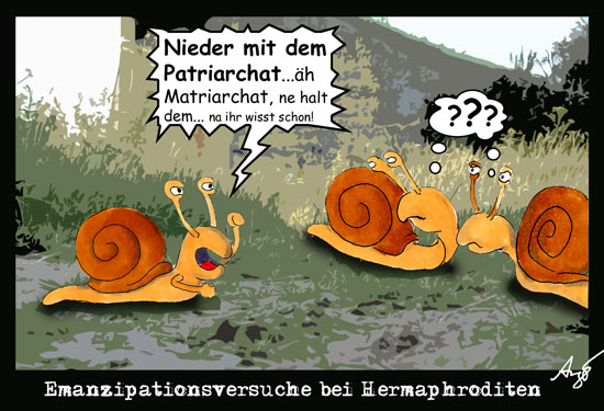 Cartoon: Emanzipationsversuche bei Hermaphroditen 1