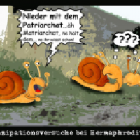 Emanzipationsversuche bei Hermaphroditen