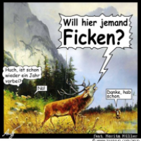 Röhrender Hirsch
