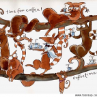coffeetime