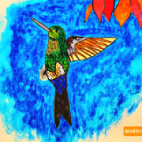 Septembird 23 - Tag 2 - Kolibri