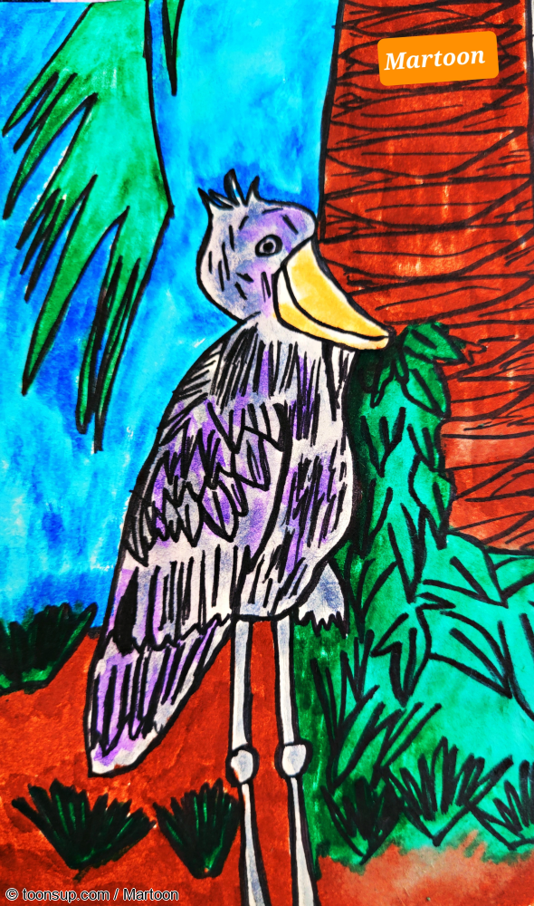 Illustration: SEPTEMBIRD-23 - TAG 3 - VOGEL:Shoebill 1