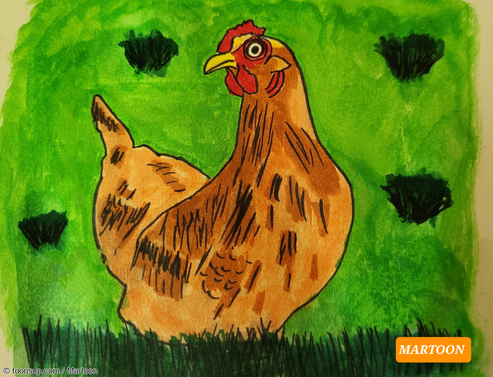 Illustration: SEPTEMBIRD-23 - TAG 4 - VOGEL:HUHN 1