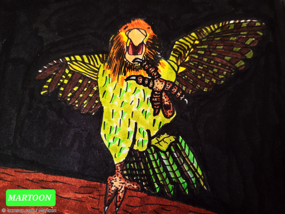 Illustration: SEPTEMBIRD-23 - TAG 5  - VOGEL:KAKAPO 1
