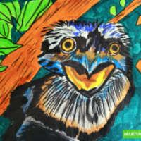 SEPTEMBIRD-23 - TAG 6 - VOGEL:EULENSCHWALM