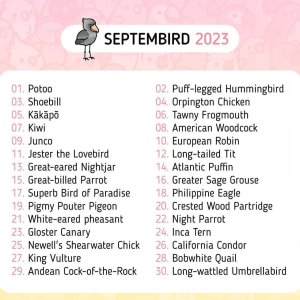Septembird 23