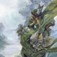 wind talker