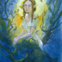 Moon Light