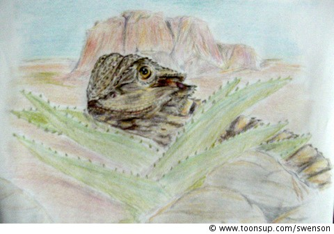 Anderes: Bartagame 1