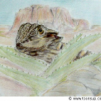 Bartagame