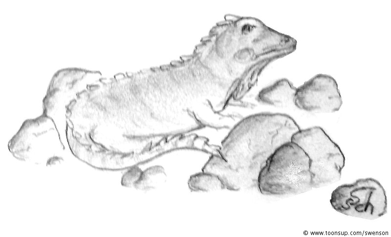 Illustration: Wasser Drache 1