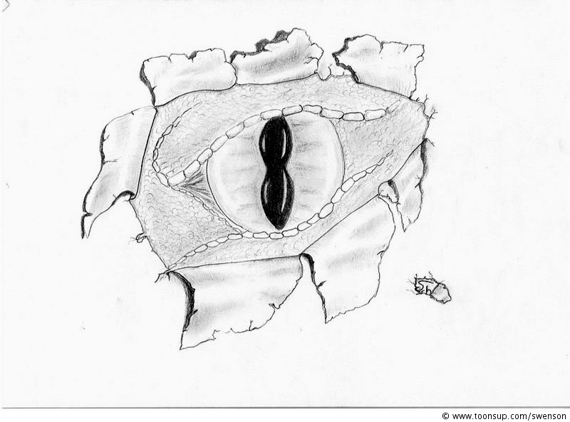 Illustration: THE EYE OF THE DRAGON 1