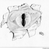 THE EYE OF THE DRAGON